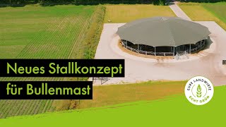 Neues Stallkonzept für Bullenmast [upl. by Aimat]