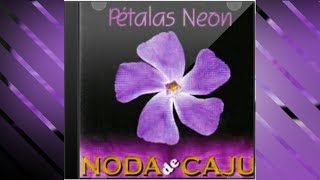 NODA DE CAJU  Pétalas Neon com letra [upl. by Clerk]