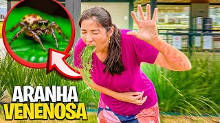 RAPHA FOI PICADA POR UMA ARANHA VENENOSA E VOMITOU [upl. by Ahsiei]