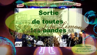 Carnaval de Limoux 2020  Sortie de toutes les bandes [upl. by Alleris15]