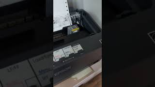 Setup Epson LX 350 printer for forestry program [upl. by Grizelda]