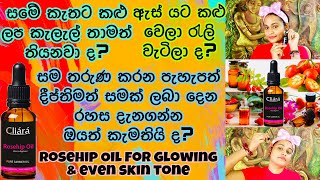 කළු ලප ඉවත් කරන සම තරුණ කරන Rosehip Seed Oil  Benefits And Beauty Hacks With Rosehip Seed Oil [upl. by Kinch540]