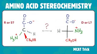 Amino Acid Stereochemistry  R amp S vs D amp L [upl. by Gerianna]