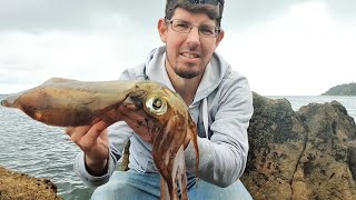 Land Based SQUID Fishing MELBOURNE Mt Martha Cliffs [upl. by Chaker634]