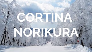 Cortina and Norikura Ski Resorts in Hakuba Japan [upl. by Nyrret]