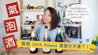 葡萄酒｜夏日必喝氣泡酒 ｜10分鐘了解 Champagne、 Cava 、Prosecco 的差別 讓你快速成為氣泡酒達人【老娘買醉】 [upl. by Celle]