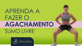 APRENDA A FAZER O AGACHAMENTO SUMO LIVRE [upl. by Verdie]