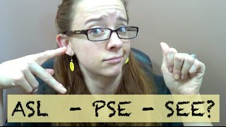 Different Styles of Sign Language  ASL  PSE  SEE [upl. by Neffirg]