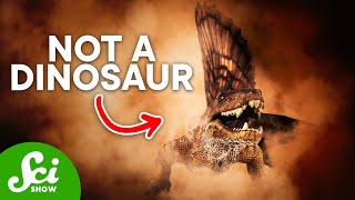 5 Famous Dinosaurs That Arent Actually Dinosaurs [upl. by Accever]