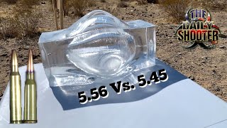 556 Vs 545 Ballistics Gel Test [upl. by Bearnard]