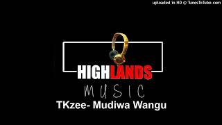 Tkzee Mudiwa Wangu Official Audio Pro by BTN Records [upl. by Nadya26]