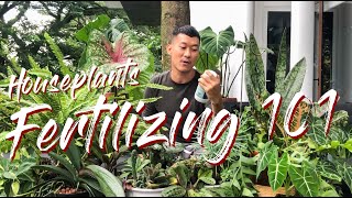 All you need to know about fertilizing houseplants [upl. by Monro750]