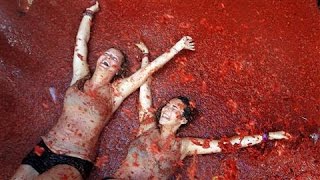 TomatoThrowing Festival Celebrated in Spain [upl. by Pentha]