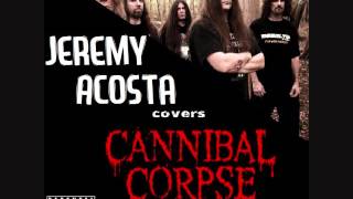 Cannibal Corpse  I Cum Blood acoustic cover [upl. by Nahej194]