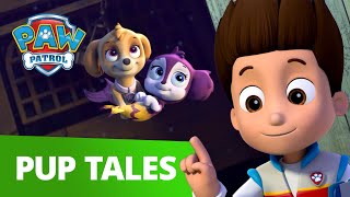 Skye and Zuma Become MerPups  PAW Patrol Rescue Episode  Cartoons for Kids [upl. by Filemon]