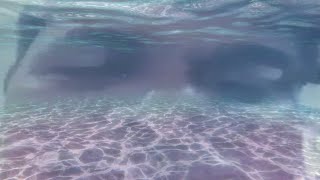 Hello Im Under the Water Again [upl. by Aldos]