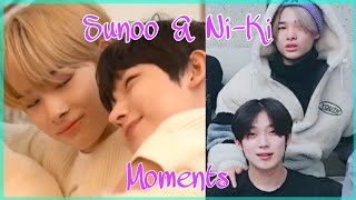 Sunoo and NiKi cute moments on new years vlive [upl. by Reginnej]