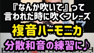 【複音ハーモニカも！分散和音の練習に♬】『なんか吹いて』って言われた時に吹いたらカッコ良さそうなフレーズ♪複音ハーモニカ♪【朝モニカ♫】 [upl. by Attenol715]