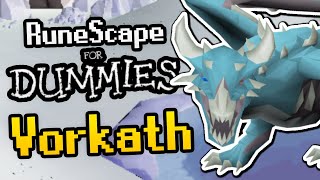 RuneScape For Dummies Vorkath Guide 2021 OSRS Guide  Low LevelBudget Gear Vorkath Guide [upl. by Zinn]