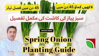 How to Grow Spring Onions A Complete Guide from Sowing to Harvest [upl. by Asilef]