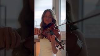 Leonard Cohen  Hallelujah  violin version from ViOLiNiA [upl. by Eidderf]