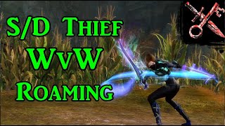 Sword Dagger Thief  GW2 WvW Roaming Build Guide [upl. by Kooima66]