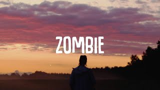 Alan Walker Style  Albert Vishi  Zombie Lyrics ft Ane Flem [upl. by Hadeehsar558]