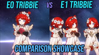 E0 Tribbie vs E1 Tribbie Comparison Showcase Should You Pull E1 Tribbie  Honkai Star Rail 31 [upl. by Korenblat]