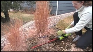 The BEST Way to Prune Ornamental Grasses [upl. by Sterner]