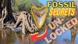 99 of NEW Fossil Hunters DONT KNOW THIS [upl. by Anabel]