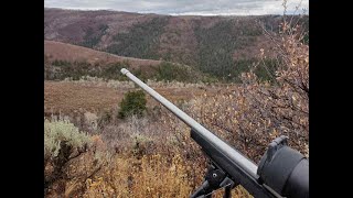 Colorado Mule Deer 2020 3rd Season EP 1 [upl. by Lonni]