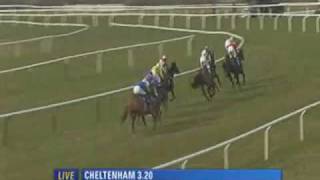 2010 Seasons Holidays Queen Mother Champion Chase [upl. by Llet]