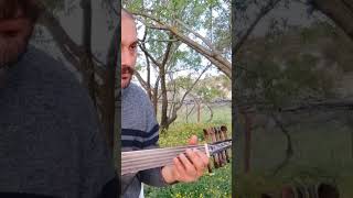 Zalim  Levent YUKSEL Ud cover Emrah ALTAŞ [upl. by Attenna]