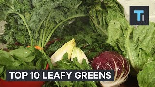 10 Healthiest Leafy Greens You Should Be Putting In Your Salad [upl. by Joaquin]