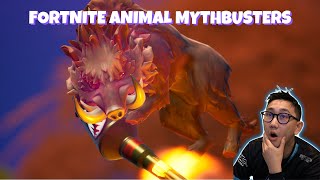 Fortnite Animal Mythbusters [upl. by Buttaro]