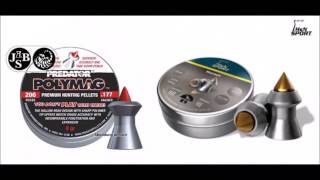 Predator Polymag Vs HampN Hornet Pellet Chrony Accuracy amp Ballistics Test [upl. by Gerek76]