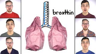 Breathin  Ariana Grande SCIENCE Acapella  SCIENCE SONGS [upl. by Feingold]