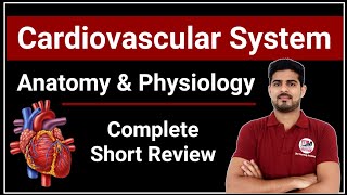 Cardiovascular System Anatomy amp Physiology Complete Short Review [upl. by Ahselrac508]