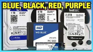 WD Blue vs Black vs Red amp Purple HDD amp SSD Differences 2017 [upl. by Gilman]