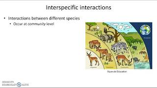 Interspecific interactions [upl. by Perdita]