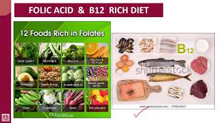 Hematology  1  U6L2  B12 and Folic acid metabolism [upl. by Riccardo420]