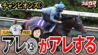 スポニチ競馬予想【チャンピオンズＣ】阪神・大山が残留表明 2枠3番ハギノアレグリアスがアレする？ 栗林記者確信のガチ予想！ チャンピオンズＣ スポニチ記者がガチ予想 スポウマチューブ [upl. by Jordison]