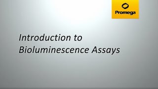 Introduction to Bioluminescent Assays [upl. by Bren669]