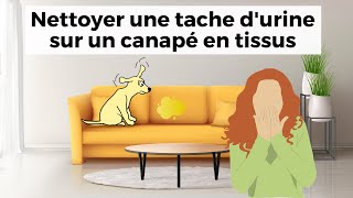 🙄 Comment nettoyer de lurine sur un canapé en tissus l Eclecto [upl. by Sorci]