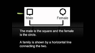 Genogram tutorial [upl. by Schrader]