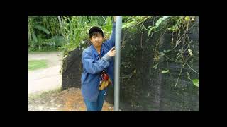 DIY street light installation solar lamps 01 [upl. by Rettke]