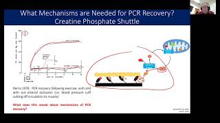 How is Phosphocreatine recovered [upl. by Mingche369]