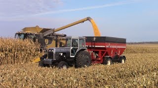 Iowa Corn Harvest with Big Tractor Power [upl. by Harrad151]