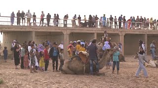 Nomad festival takes place in Moroccan desert [upl. by Kire509]