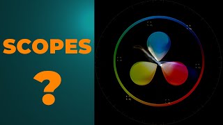 Vectorscope  DaVinci Resolve scopes for Beginners [upl. by Yemrej578]